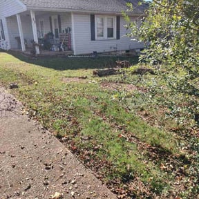 Bush Trimming by Torres Lawn Care reviewed on May 16, 2022