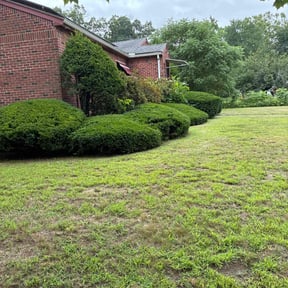 Bush Trimming by BRDOC - Lawn Care reviewed on June 18, 2022
