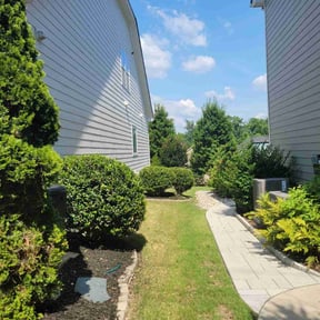 Bush Trimming by Royal Scenery LLC reviewed on July 14, 2022