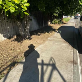 Cleanups by Pentecostal Landscape reviewed on September 20, 2024