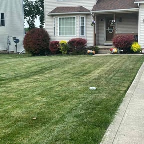 Bush Trimming by Tony's lawn services/Plowing reviewed on October 12, 2022
