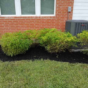 Mulching by R&amp;R (Reasonable and Reliable) lawn services. reviewed on June 2, 2025