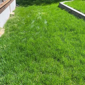 Flower Bed Weeding by MJC3 Solutions LLC reviewed on August 3, 2024