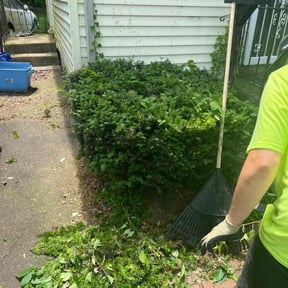 Bush Trimming by Transformed reviewed on April 29, 2022