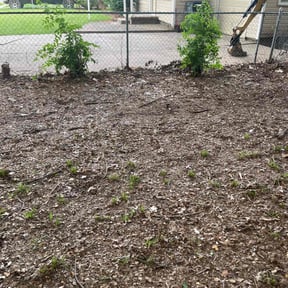 Leaf Removal by CUT Tulsa Lawn Co. reviewed on June 27, 2023