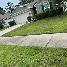 Bush Trimming by Primos  Grow&amp;Mow reviewed on November 16, 2024