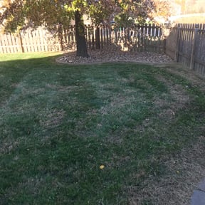 Leaf Removal by Pro Green Landscape L L C reviewed on May 13, 2022