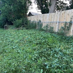 Weeding by Dump N' Dash Dumpsters LLC reviewed on July 5, 2025