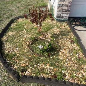 Flower Bed Weeding by The guy property maintenance reviewed on August 3, 2022