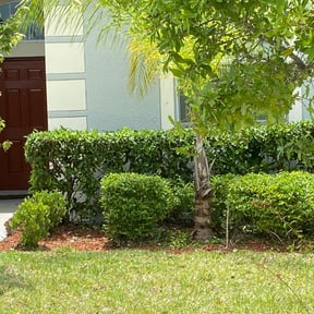 Bush Trimming by Aparicio Lawn Care reviewed on July 29, 2022