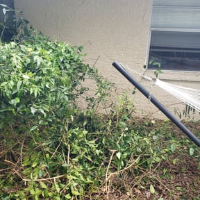 Bush Trimming by Croc Landscape Corp reviewed on April 9, 2025