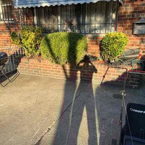 Cleanups by Mike's Mowing and Landscaping reviewed on June 29, 2022