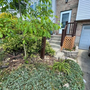 Bush Trimming by HTx Landscaping Services reviewed on May 2, 2022