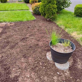 Cleanups by Big Boy Landscaping reviewed on July 20, 2025
