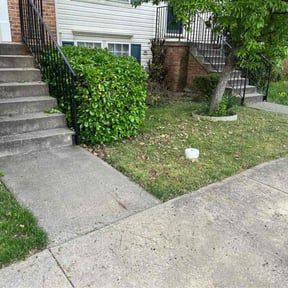Bush Trimming by vets lawn care reviewed on May 2, 2022