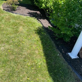 Flower Bed Weeding by Complete property management reviewed on May 21, 2022