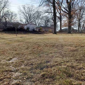 Leaf Removal by In and Out reviewed on June 2, 2022