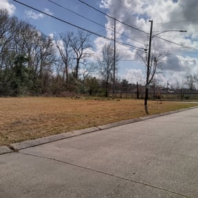 Cleanups by Chop Shop Lawns and Landscaping reviewed on April 25, 2025