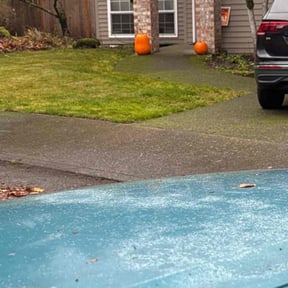 Leaf Removal by D &amp; A services reviewed on August 26, 2021