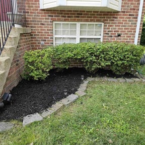 Flower Bed Weeding by Barefoot lawn and landscapes LLC. reviewed on May 31, 2022