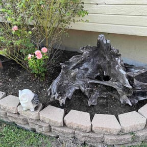 Flower Bed Weeding by LV Lawn Care reviewed on July 27, 2022