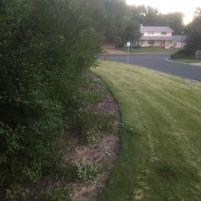 Bush Trimming by Cut N Get Cut reviewed on July 26, 2022