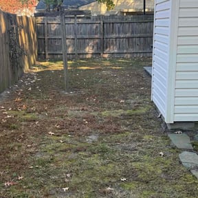 Leaf Removal by Active Lawn Care &amp; Landscapes reviewed on April 19, 2025