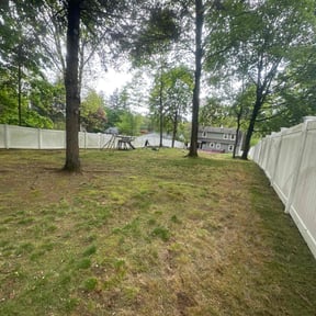 Leaf Removal by R&T lawncare reviewed on July 29, 2022