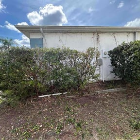 Bush Trimming by Cut Rite Lawn Service &amp; Property Maintenance LLC reviewed on April 1, 2025