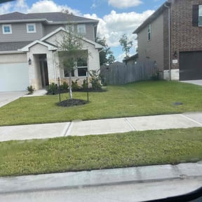 Cleanups by Green Garden The Woodlands reviewed on April 18, 2022
