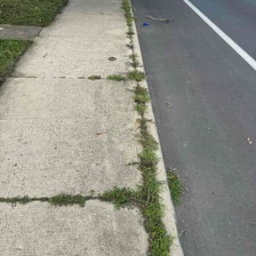 Weeding by Lie=less Lawncare&amp; Home Improovement reviewed on July 4, 2025