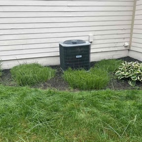 Bush Trimming by Medina's maintenance reviewed on July 12, 2022