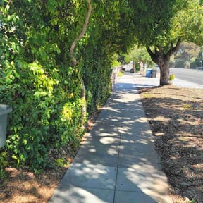 Bush Trimming by Vanlandingham Lawn Care & Services reviewed on May 24, 2022