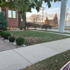 Bush Trimming by Nextdoor Lawn Services LLC reviewed on May 3, 2022