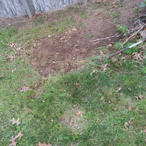 Cleanups by Erick's Lawn Maintenance reviewed on June 10, 2022