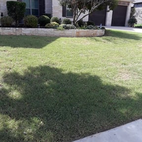 Leaf Removal by Top Gun Cleaners reviewed on October 8, 2024