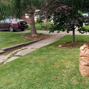 Flower Bed Weeding by CJ lawnscapes reviewed on June 22, 2022