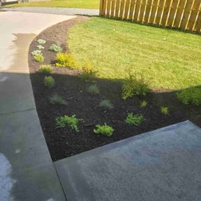 Landscaping by Elite lawn care reviewed on June 14, 2022