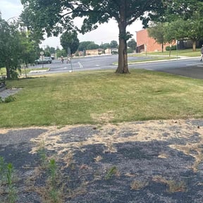 Cleanups by Lawn Busters LLC reviewed on June 2, 2022