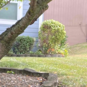 Bush Trimming by Yard Boss Lawn & Landscape LLC reviewed on June 9, 2022
