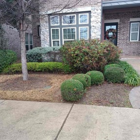 Bush Trimming by J5 Lawn Care reviewed on April 29, 2025