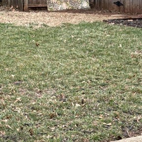 Leaf Removal by Swamp creek reviewed on April 15, 2025