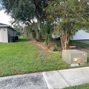 Bush Trimming by TruGreen LawnCare reviewed on August 7, 2024