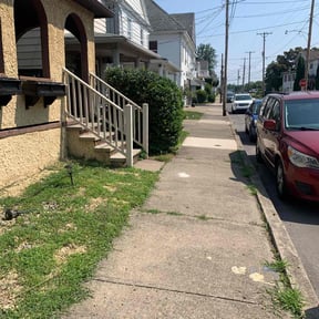 Bush Trimming by Van Woolley Handyman Services reviewed on August 5, 2025