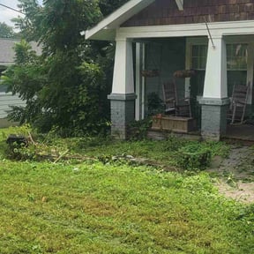 Bush Trimming by Lindsay’s lawncare reviewed on June 17, 2024