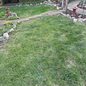 Leaf Removal by God's Gift Lawncare, LLC reviewed on July 18, 2022