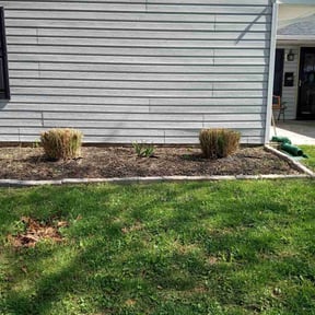 Bush Trimming by Dee Jays lawn service reviewed on June 29, 2022