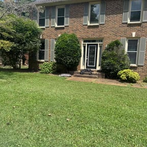 Bush Trimming by Towery's Lawn Care reviewed on June 28, 2019