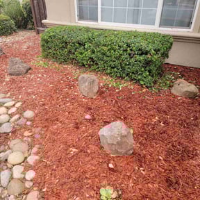 Bush Trimming by Gants lawn care reviewed on May 24, 2022