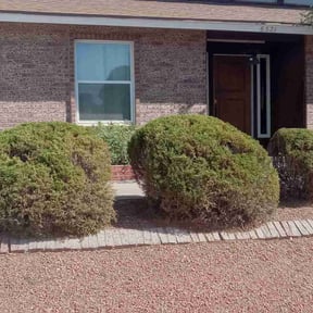 Bush Trimming by The More You Mow reviewed on May 24, 2025